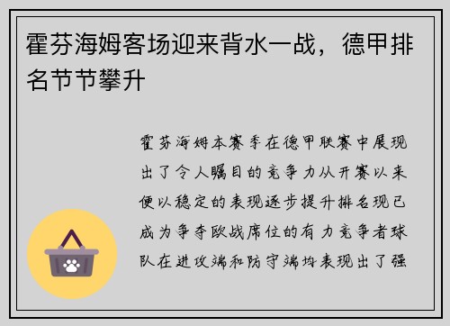 霍芬海姆客场迎来背水一战，德甲排名节节攀升