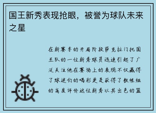 国王新秀表现抢眼，被誉为球队未来之星
