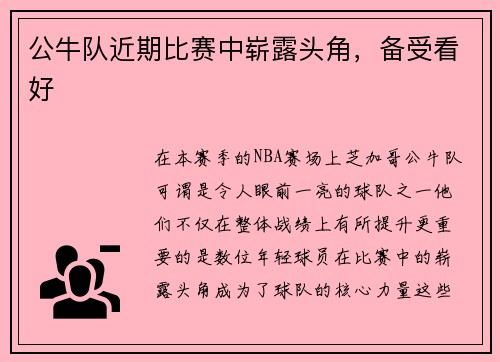 公牛队近期比赛中崭露头角，备受看好