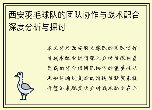 西安羽毛球队的团队协作与战术配合深度分析与探讨