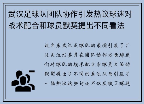 武汉足球队团队协作引发热议球迷对战术配合和球员默契提出不同看法